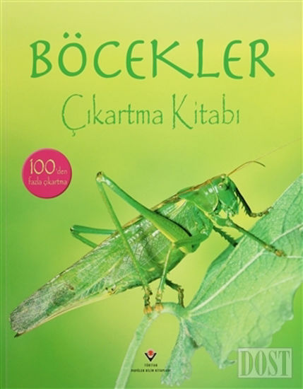 Böcekler